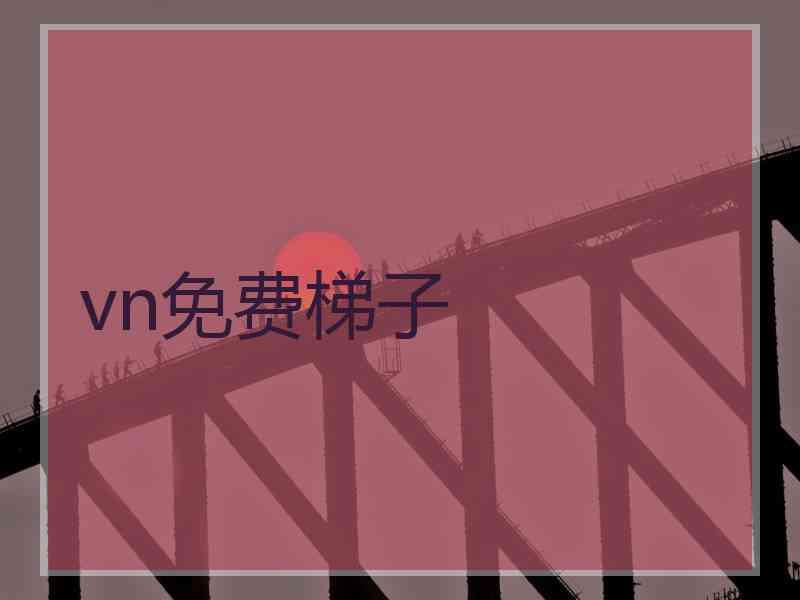 vn免费梯子