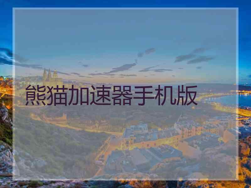 熊猫加速器手机版