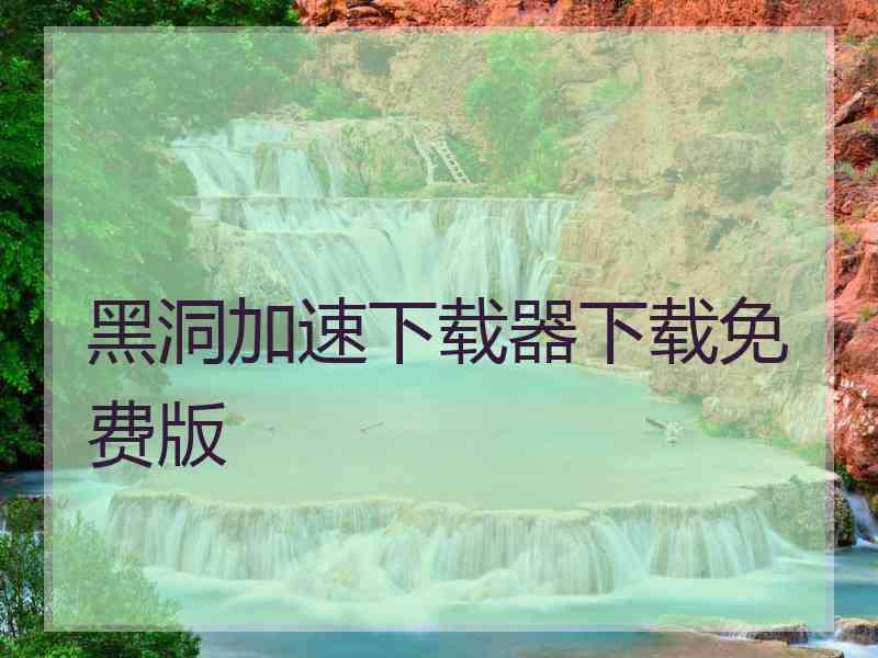 黑洞加速下载器下载免费版