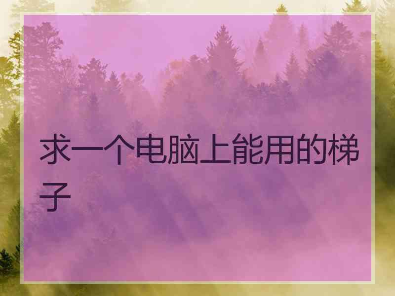 求一个电脑上能用的梯子