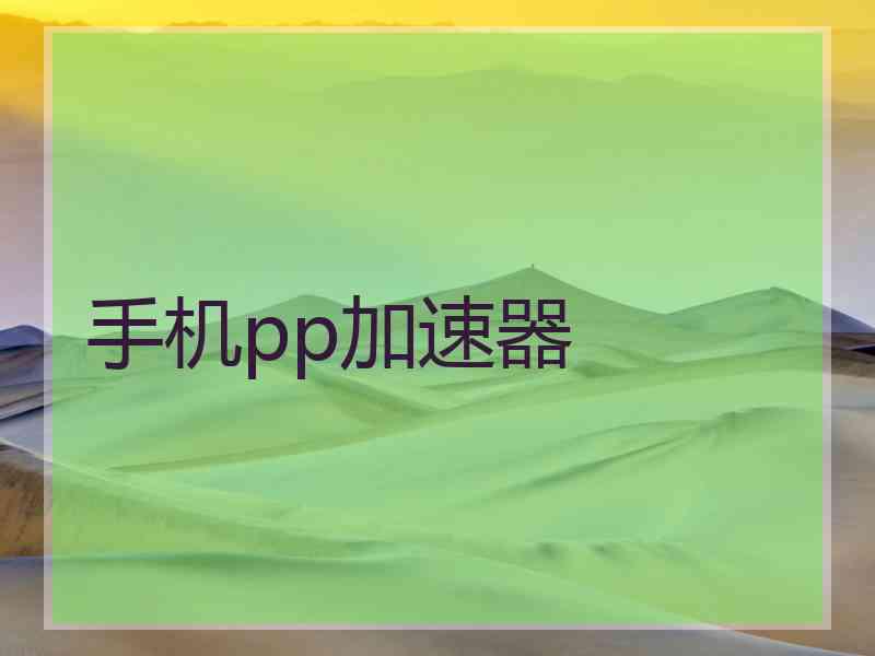 手机pp加速器
