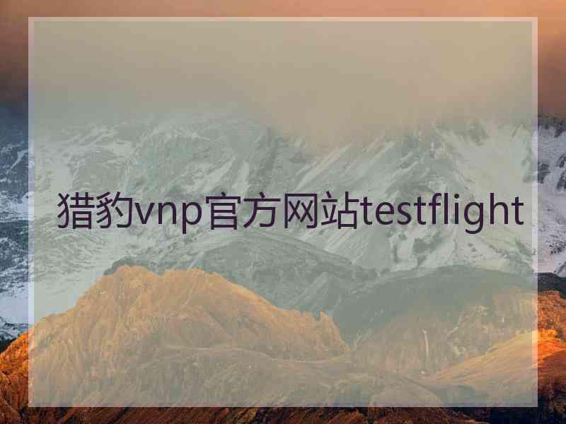 猎豹vnp官方网站testflight