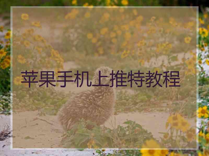 苹果手机上推特教程