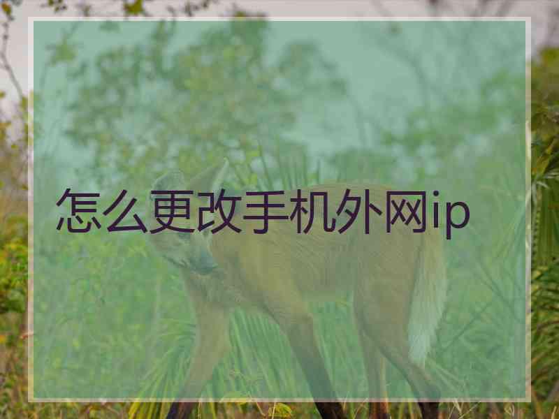 怎么更改手机外网ip