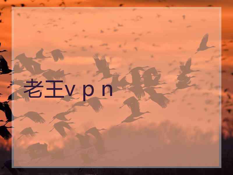 老王v p n