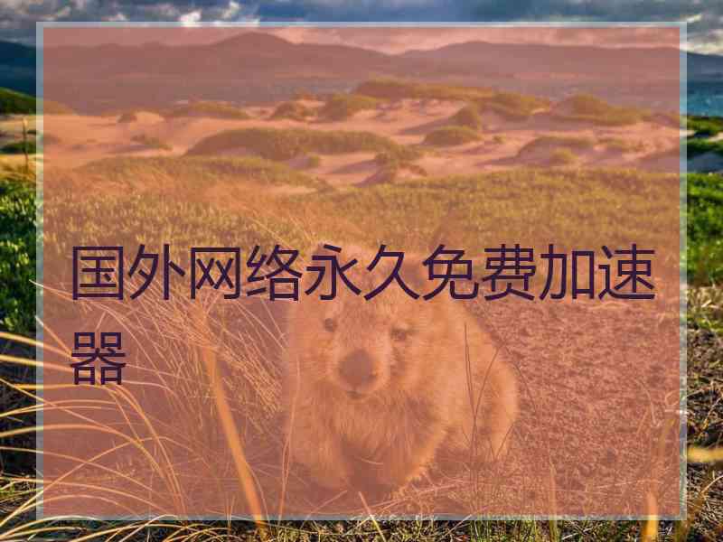 国外网络永久免费加速器