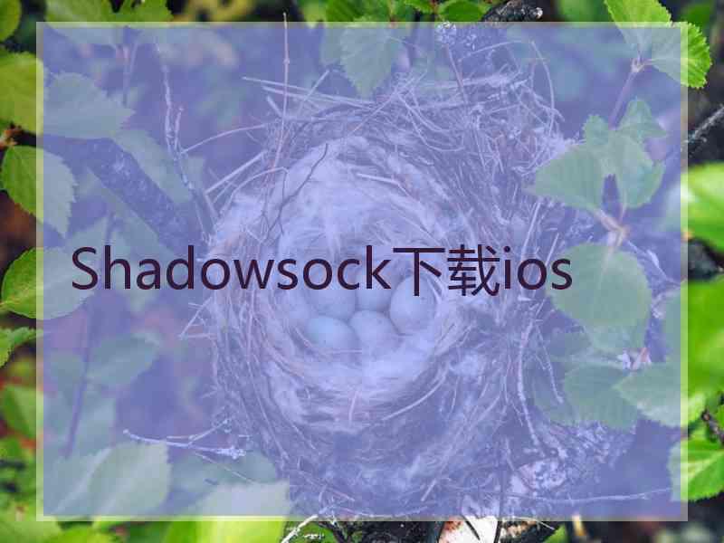 Shadowsock下载ios