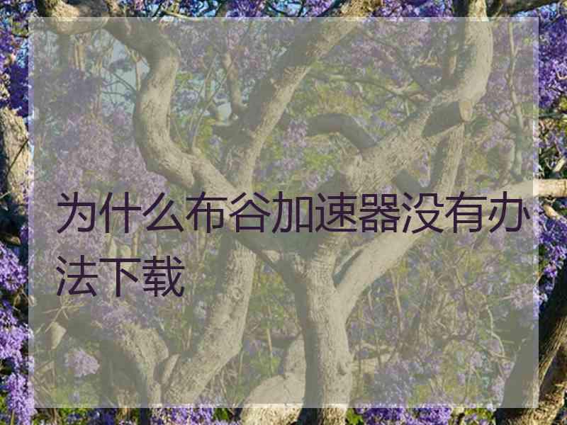 为什么布谷加速器没有办法下载