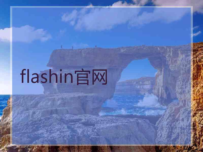 flashin官网