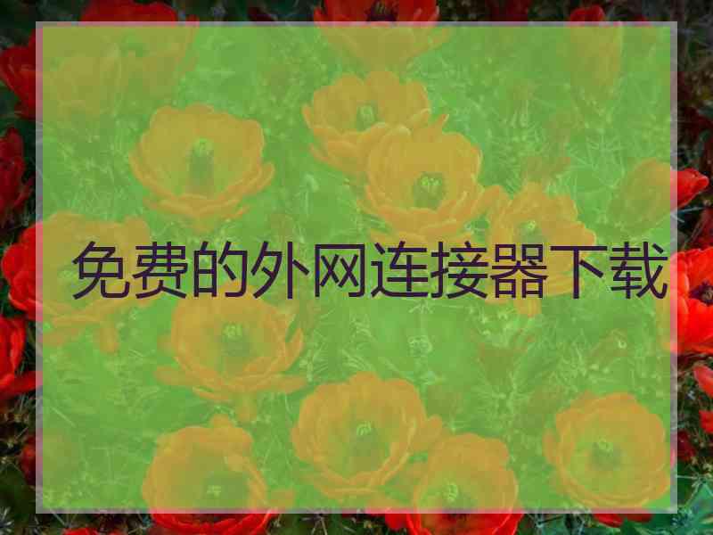 免费的外网连接器下载