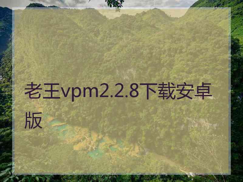 老王vpm2.2.8下载安卓版