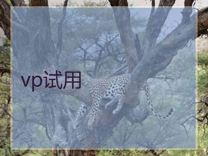 vp试用
