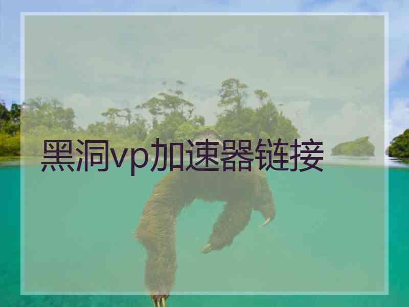 黑洞vp加速器链接