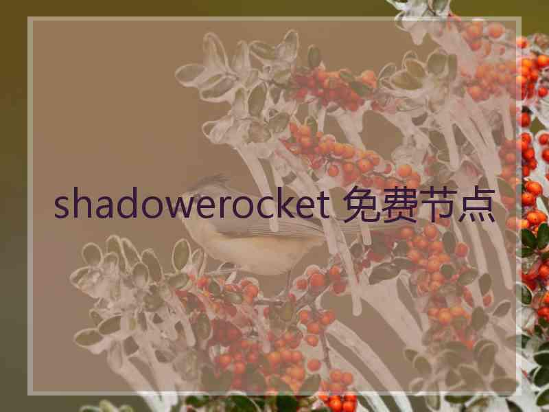 shadowerocket 免费节点
