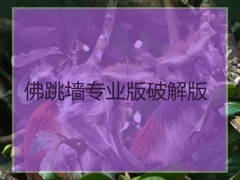 佛跳墙专业版破解版