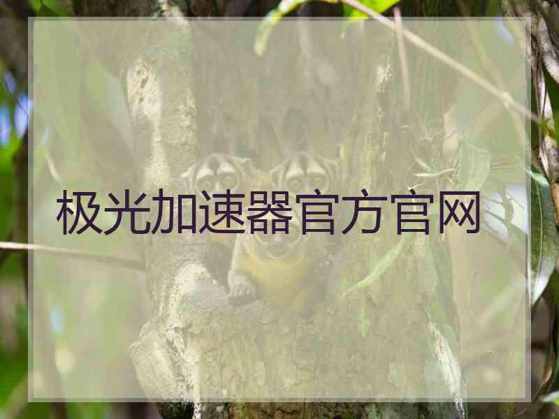 极光加速器官方官网