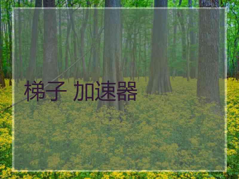 梯子 加速器