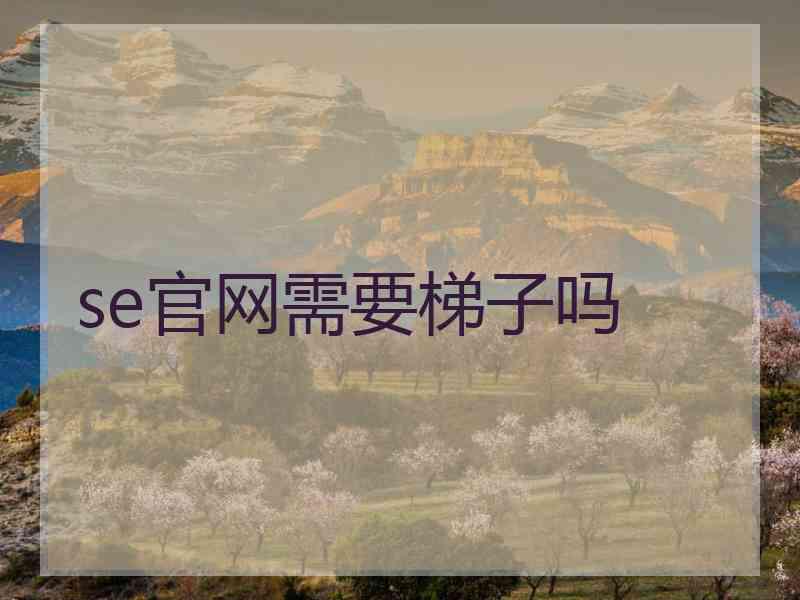 se官网需要梯子吗