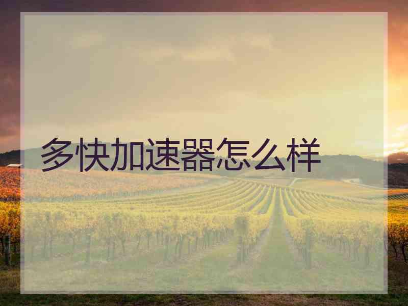 多快加速器怎么样