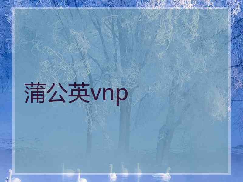 蒲公英vnp