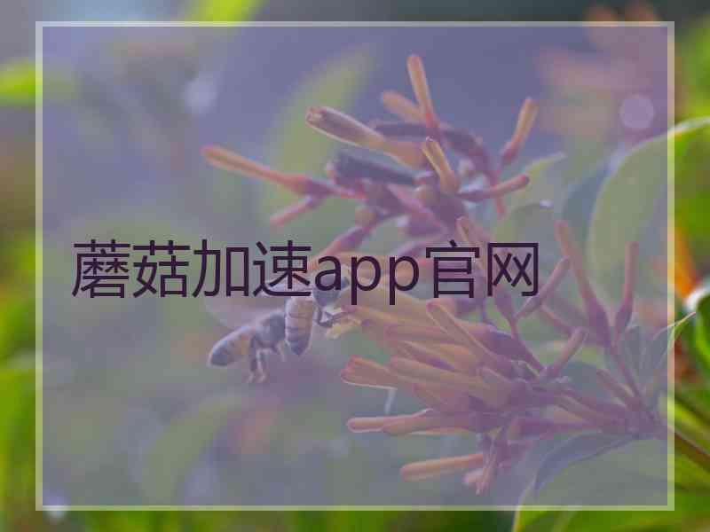 蘑菇加速app官网