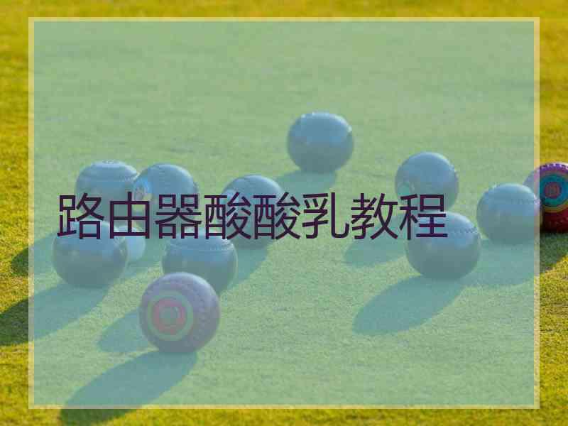 路由器酸酸乳教程
