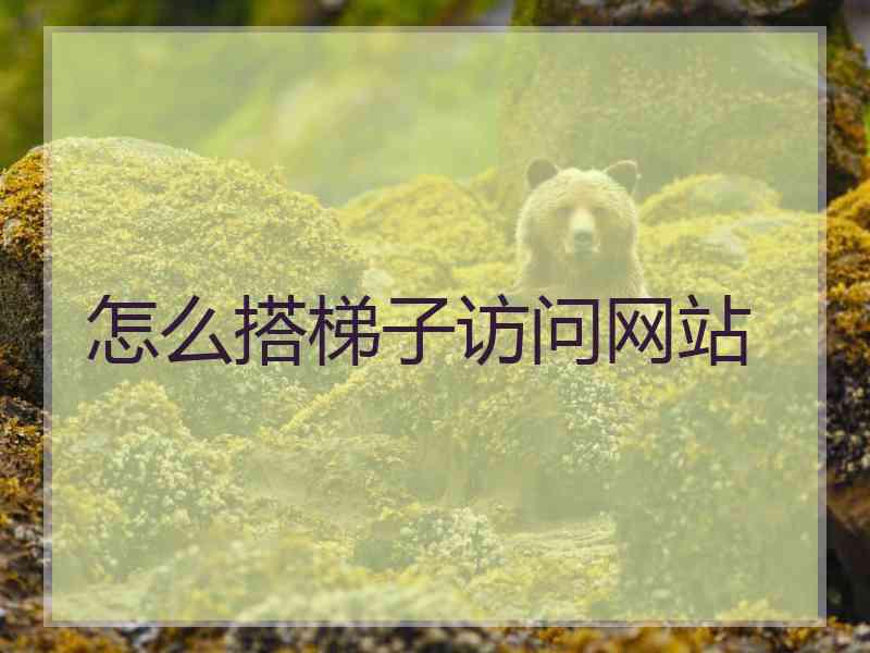 怎么搭梯子访问网站