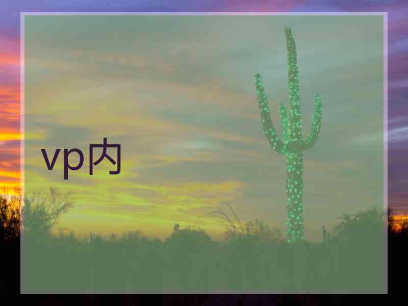 vp内