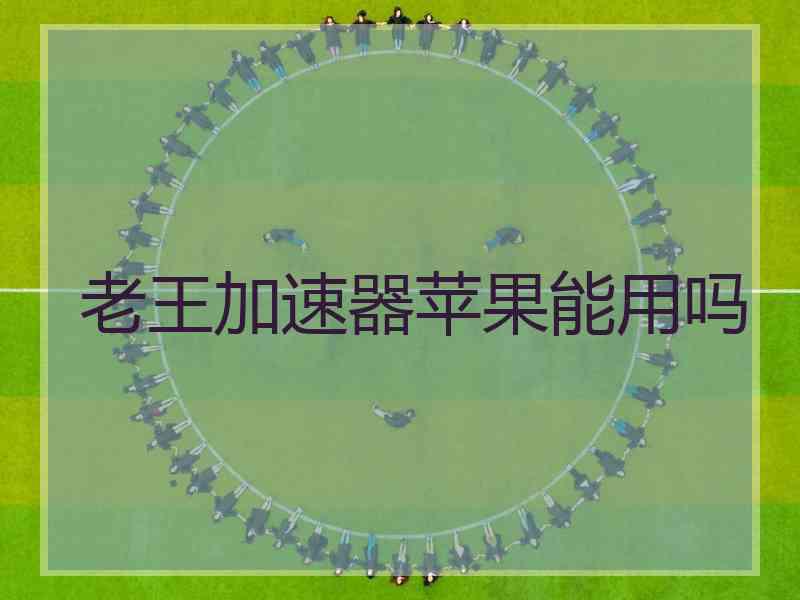 老王加速器苹果能用吗