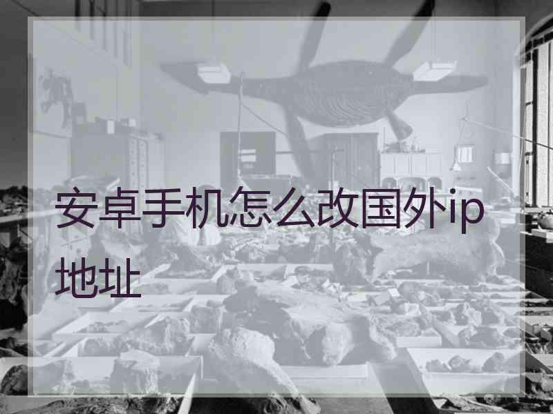 安卓手机怎么改国外ip地址