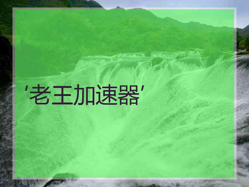 ‘老王加速器’
