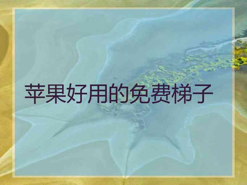 苹果好用的免费梯子