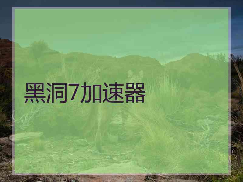 黑洞7加速器
