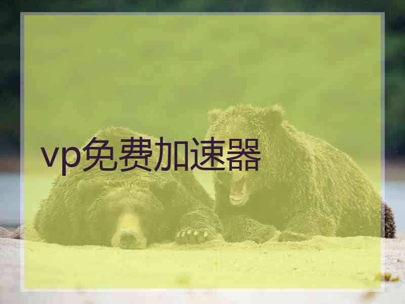 vp免费加速器