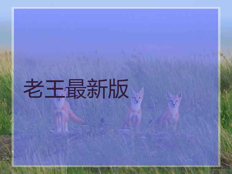 老王最新版