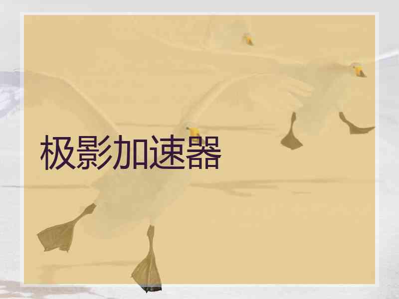 极影加速器