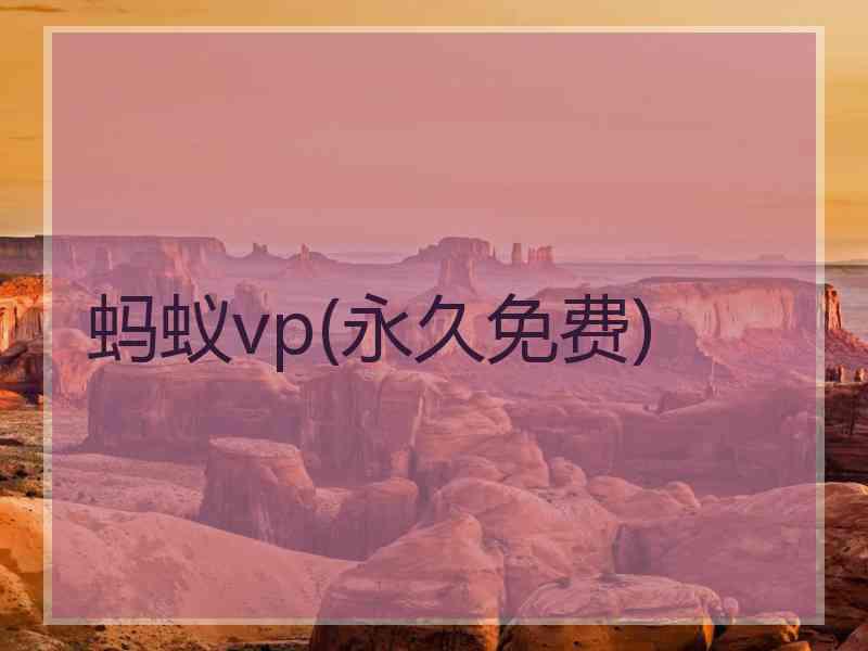 蚂蚁vp(永久免费)
