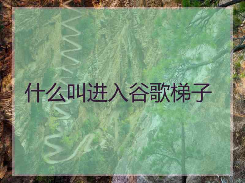 什么叫进入谷歌梯子