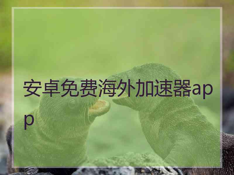 安卓免费海外加速器app