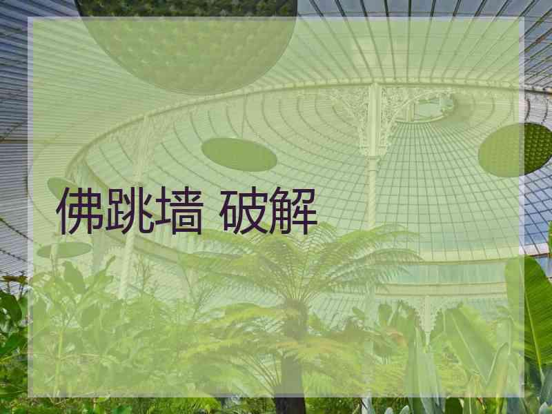 佛跳墙 破解