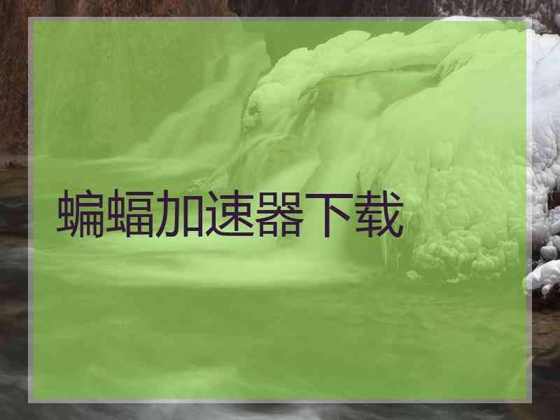 蝙蝠加速器下载