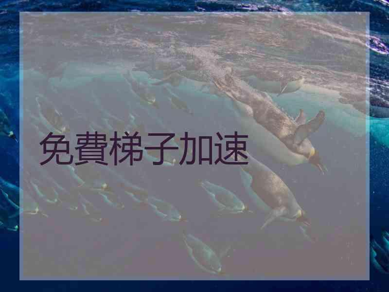 免費梯子加速