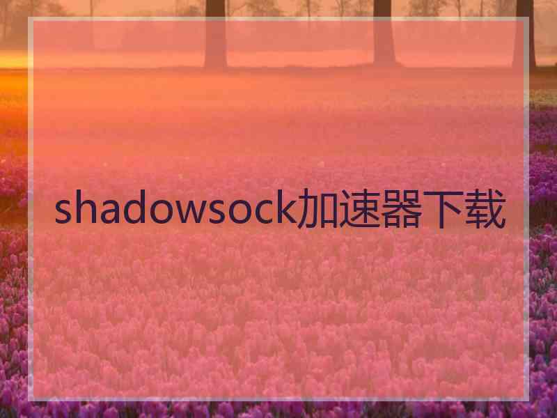 shadowsock加速器下载
