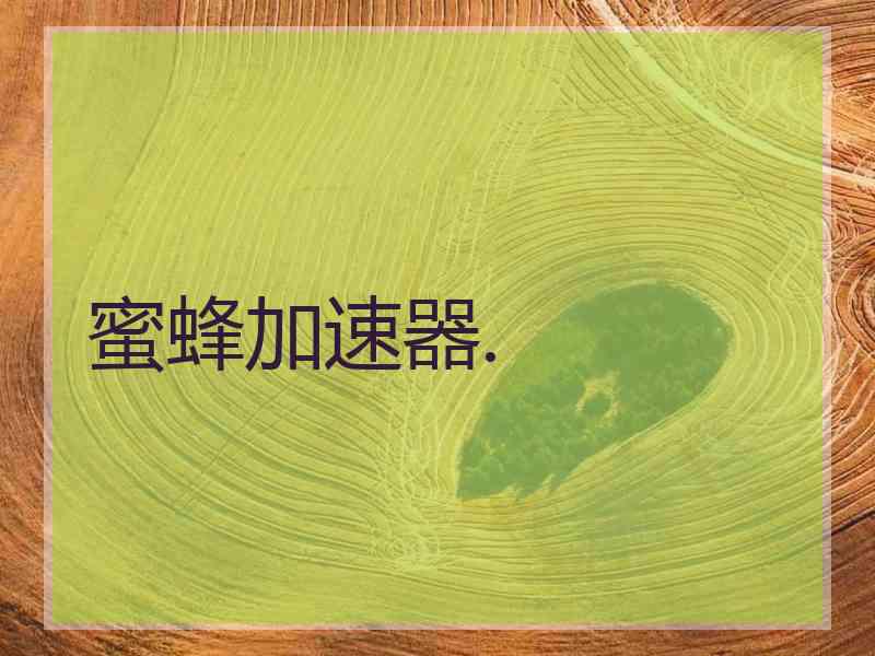 蜜蜂加速器.