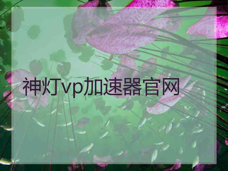 神灯vp加速器官网