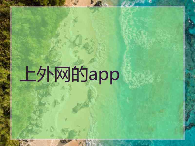 上外网的app