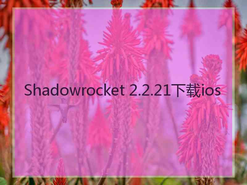 Shadowrocket 2.2.21下载ios