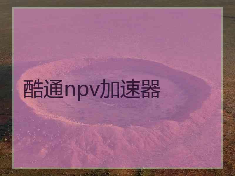 酷通npv加速器