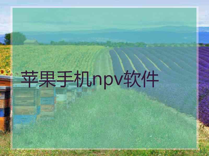 苹果手机npv软件