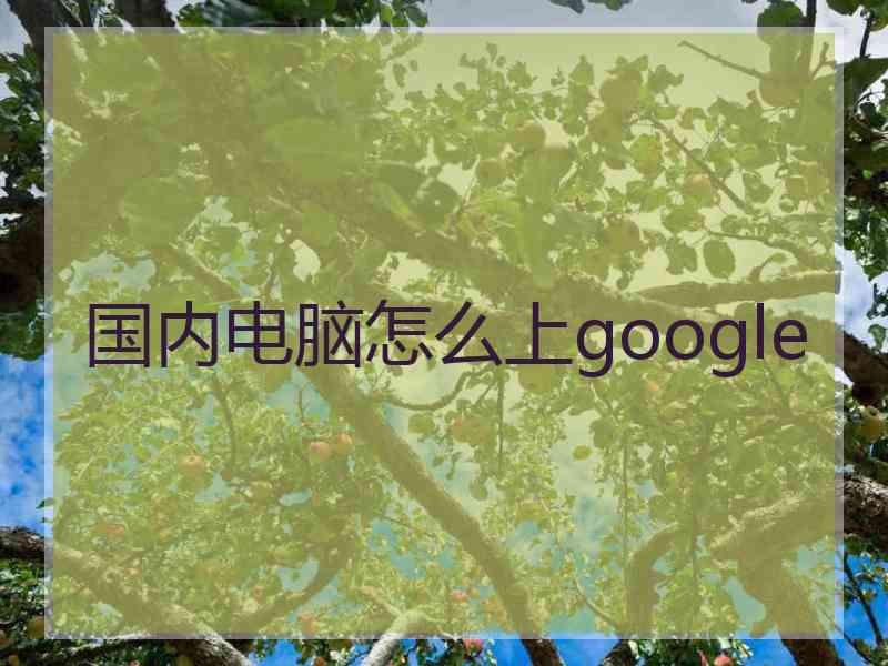 国内电脑怎么上google